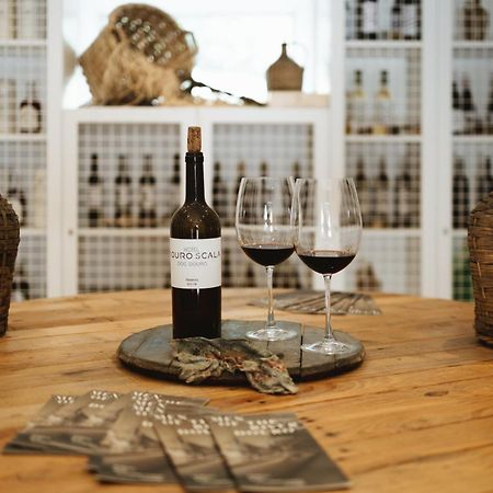 Douro Scala Hotel Mesao Frio Bagian luar foto Wine from the region
