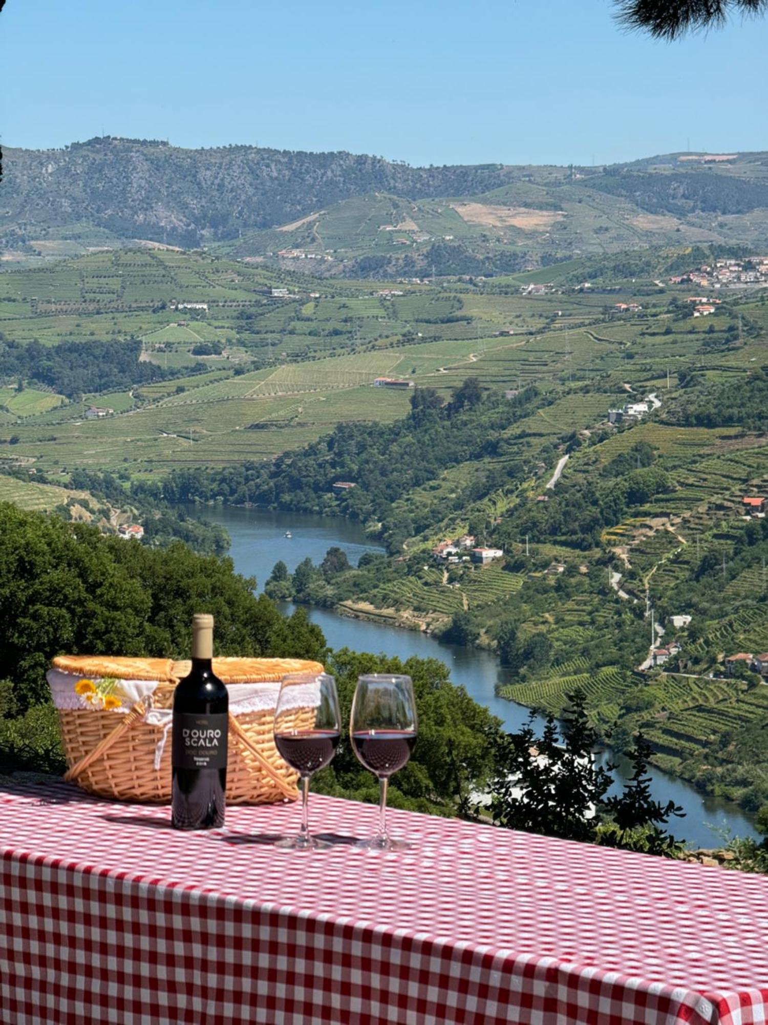 Douro Scala Hotel Mesao Frio Bagian luar foto Douro River